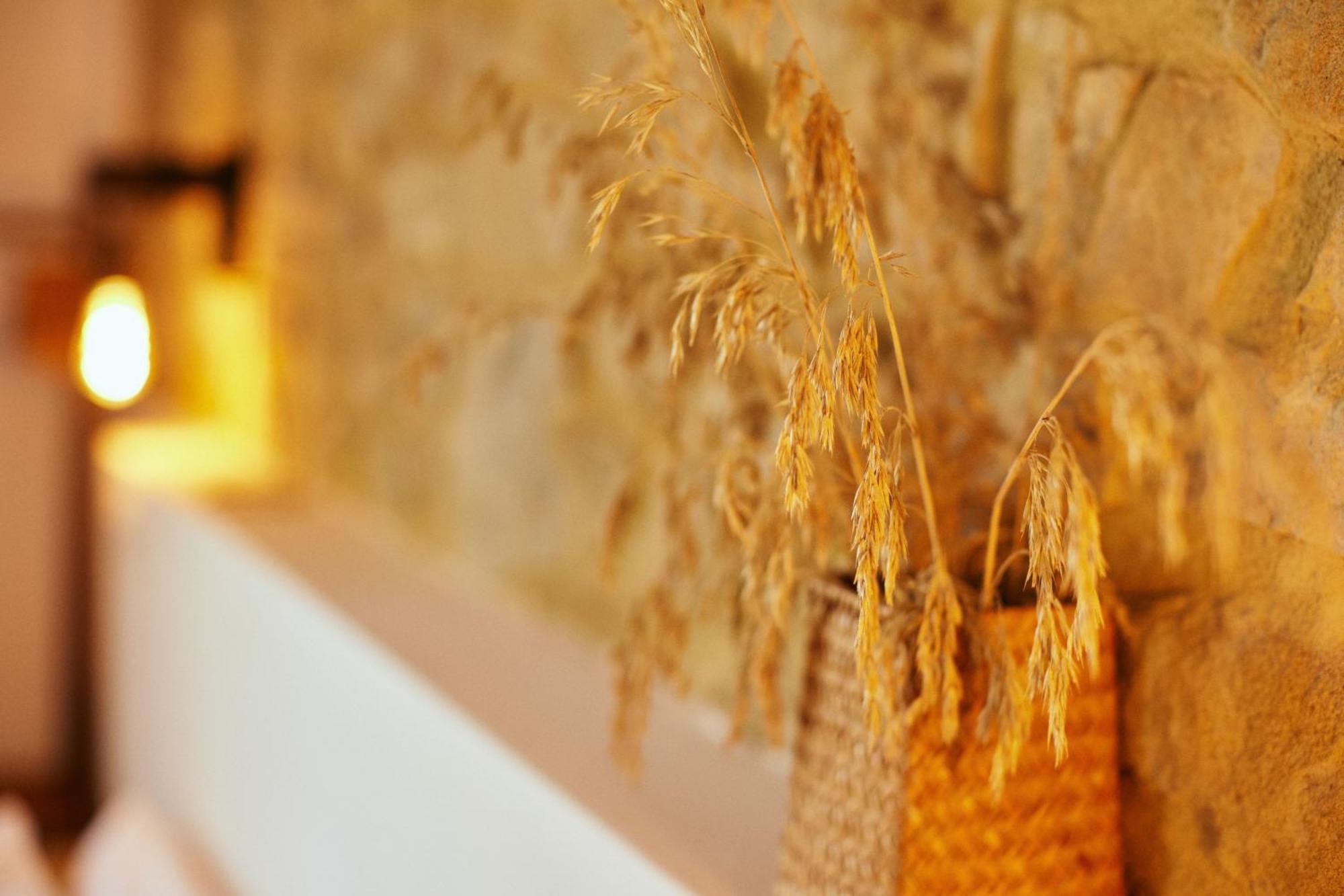 Cinigiano Glamping Le Dune מראה חיצוני תמונה